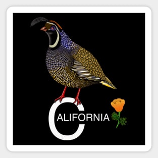 California quail state bird Californian poppy flowers Magnet